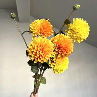 仿真大丽花乒乓菊球菊花客厅花瓶摆件黄色系设计师用花摄影道具