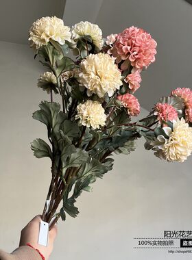 手捧花球菊餐桌装饰摆设