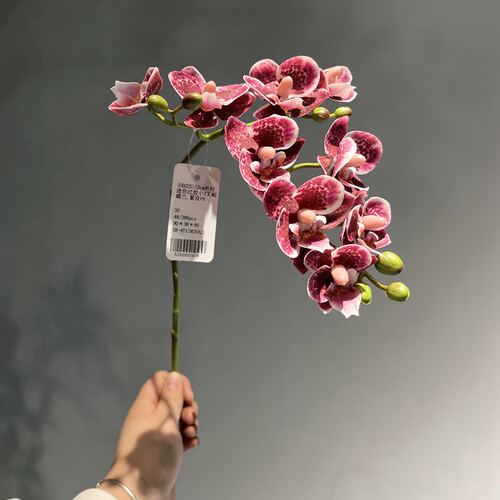 3D打印蝴蝶兰仿真花家居插花艺