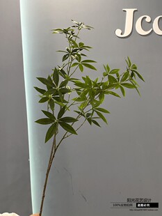 仿真发财树叶子高仿手感过胶树叶客厅办公室装饰绿植叶假树枝假花