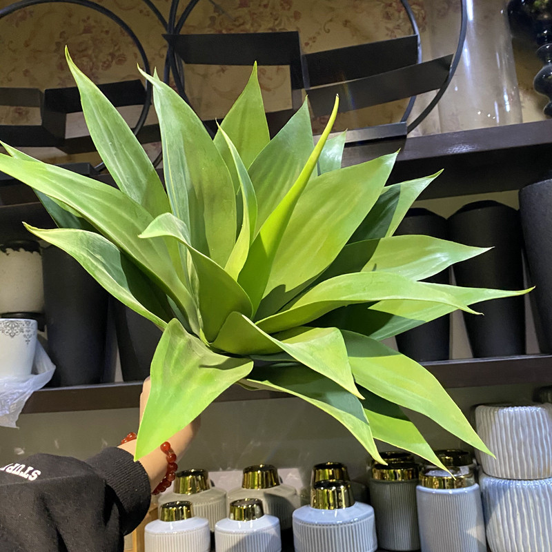 高仿真大龙舌兰热带沙漠芦荟虎皮兰多肉绿植菠萝花皇冠兰剑兰剑麻
