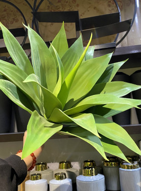 高仿真大龙舌兰热带菠萝花兰剑麻