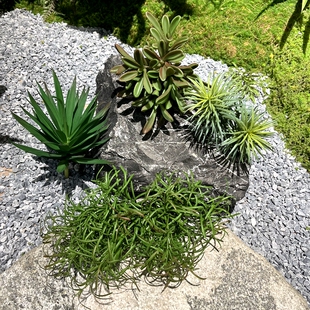 软胶小草造景迷你小绿植 仿真小绿草绿草绿植假草植物拍摄道具
