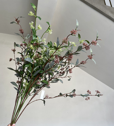 长青叶米兰果小米花绿植插花配叶