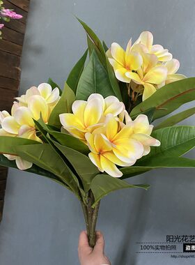 仿真鸡蛋花插花艺摆设清新花卉家居客厅花瓶花园林造景假树枝装饰