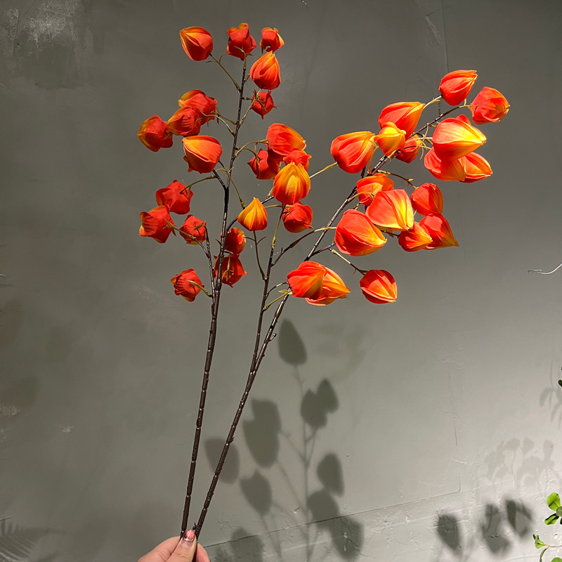 橘色系灯笼果年宵花摆件图片