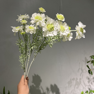 白色系仿真风轮花家居装饰摄影道具摆件小清新花材插花素材轮峰菊