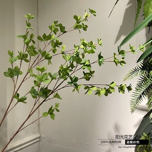 仿真日本吊钟马醉木多瓣叶树叶假树叶装饰植物绿植橄榄枝树枝叶子