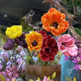 PU手感罂粟花仿真虞美人花精品过胶手感假花摄影道具干花塑料花