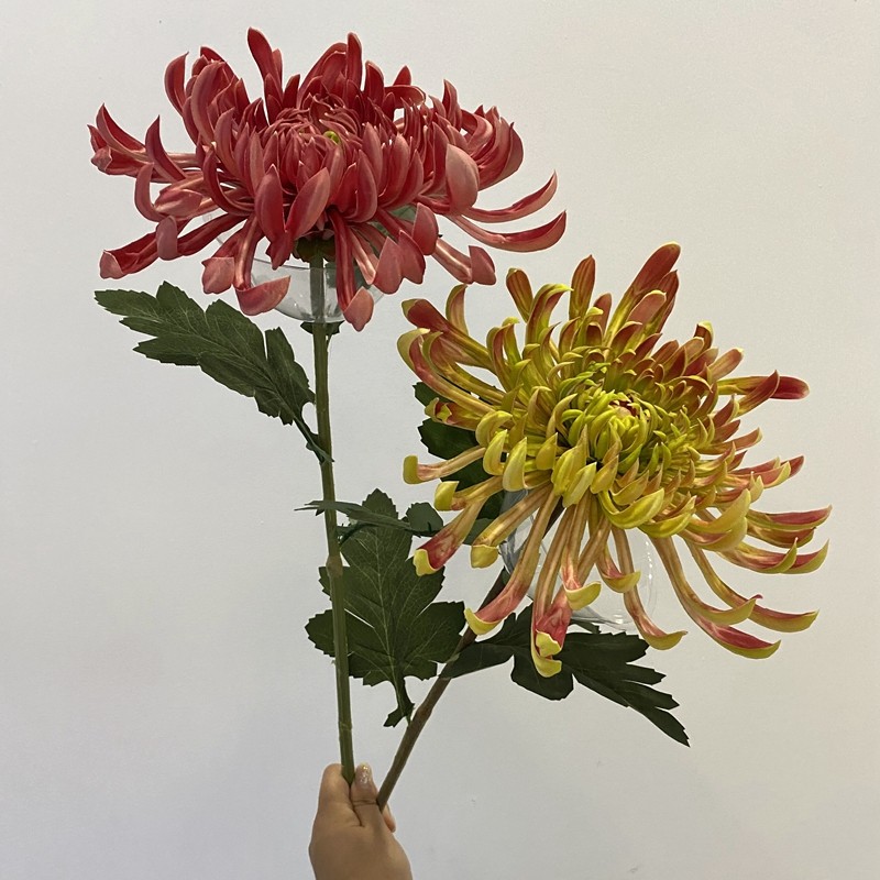 中式插花大朵仿真凤尾 菊花 秋菊手感保湿PU单只富贵菊 大匙跟菊