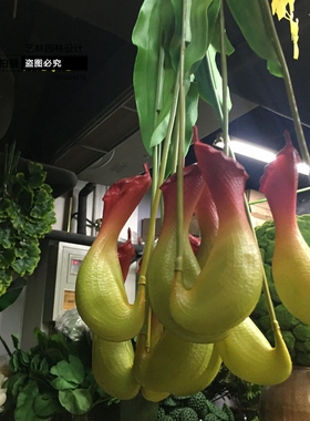 仿真单头猪笼草红绿色兜兰捕蝇草壁挂藤条藤蔓绿叶草坪植物墙装饰