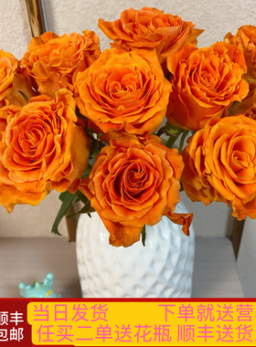 当日发货 心想事橙单头玫瑰橙色系鲜花顺丰包邮送花上门