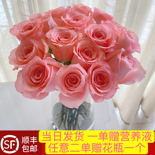 当日顺丰发货10支戴安娜粉玫瑰云南鲜切花顺丰包邮次日达送货上门