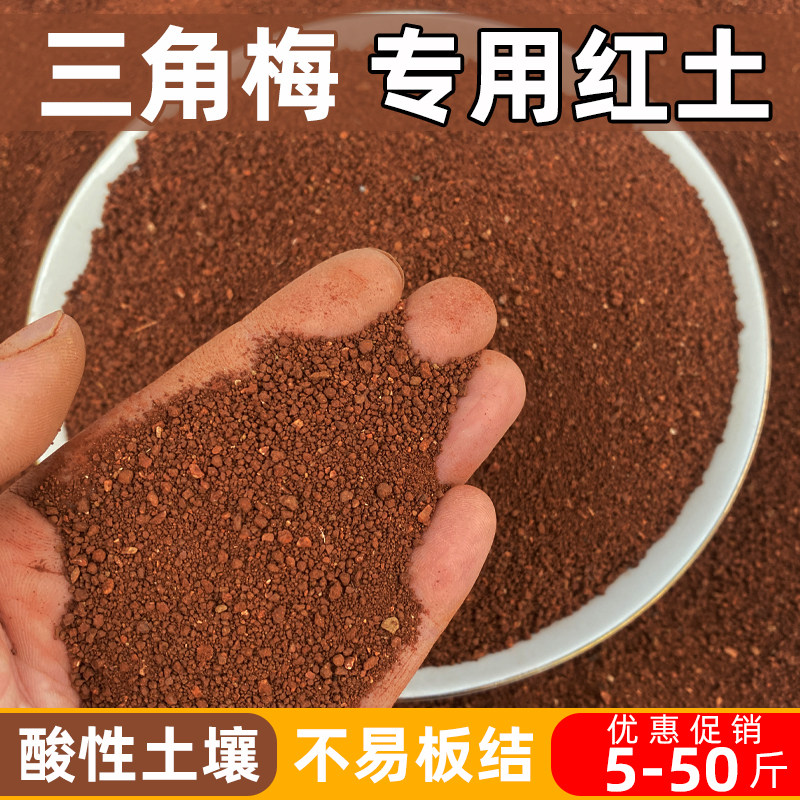 三角梅专用红土颗粒园艺盆栽泥土图片