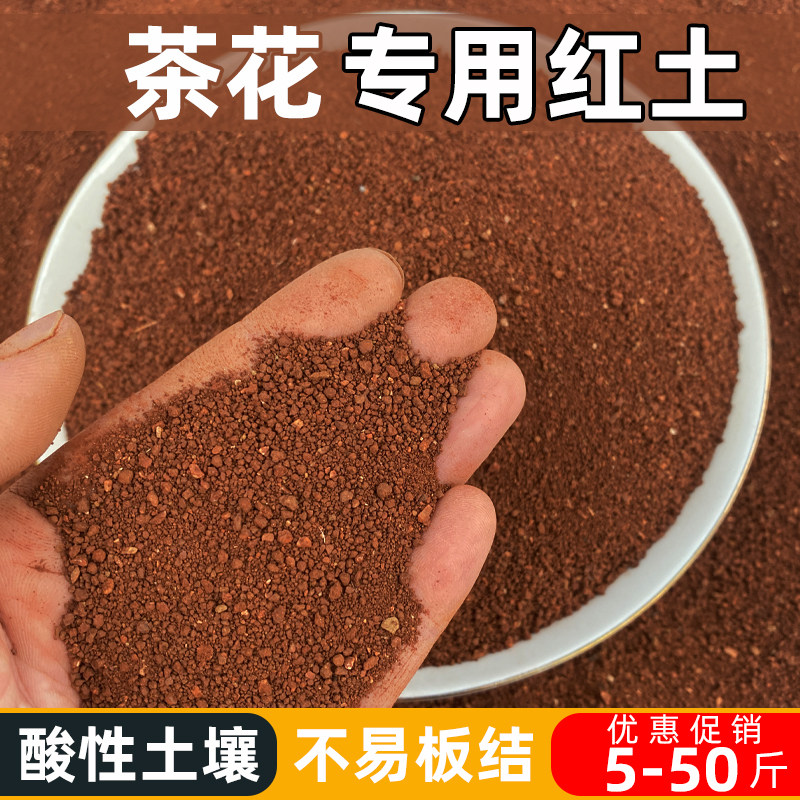 茶花专用酸性红土泥土盆栽种花土