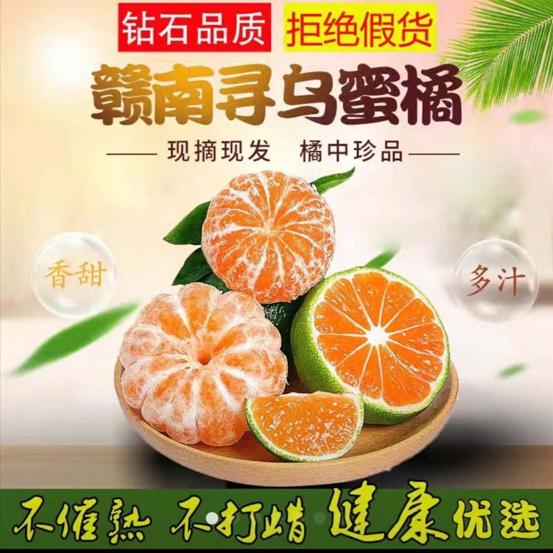 寻乌蜜桔寻乌桔子青皮多汁皮薄无子特产新鲜孕妇水果当季现摘现发