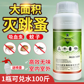 家用专杀跳蚤药杀虫剂床上神器灭吸血虫蜱虫跳蚤粉除蚊子净大面积