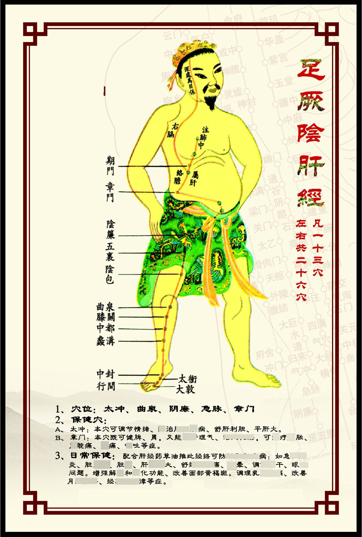 338居家海报印定制展板喷绘贴纸图片37人体穴位经络图足厥阴肝经
