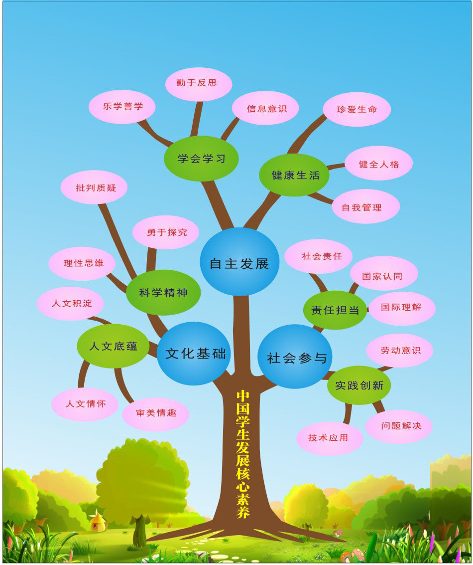 767海报印制展板写真贴画喷绘2255中国学生发展核心素养导线图