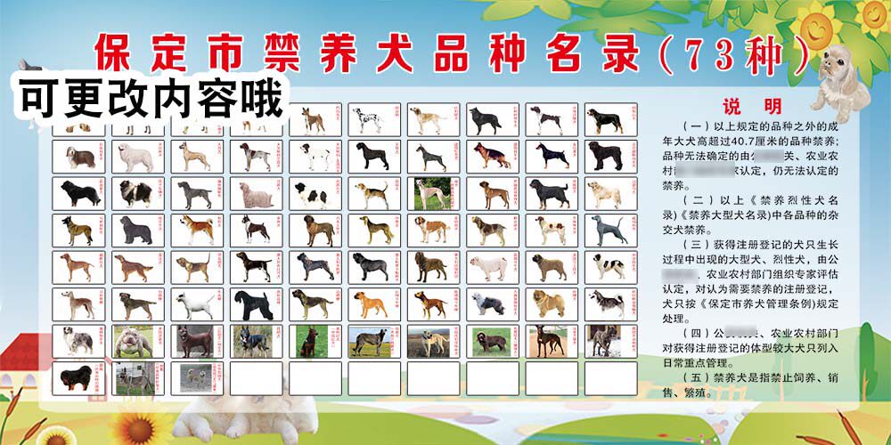 770城市禁养犬品种名录73种图示说明墙贴纸挂图写真海报印制1722