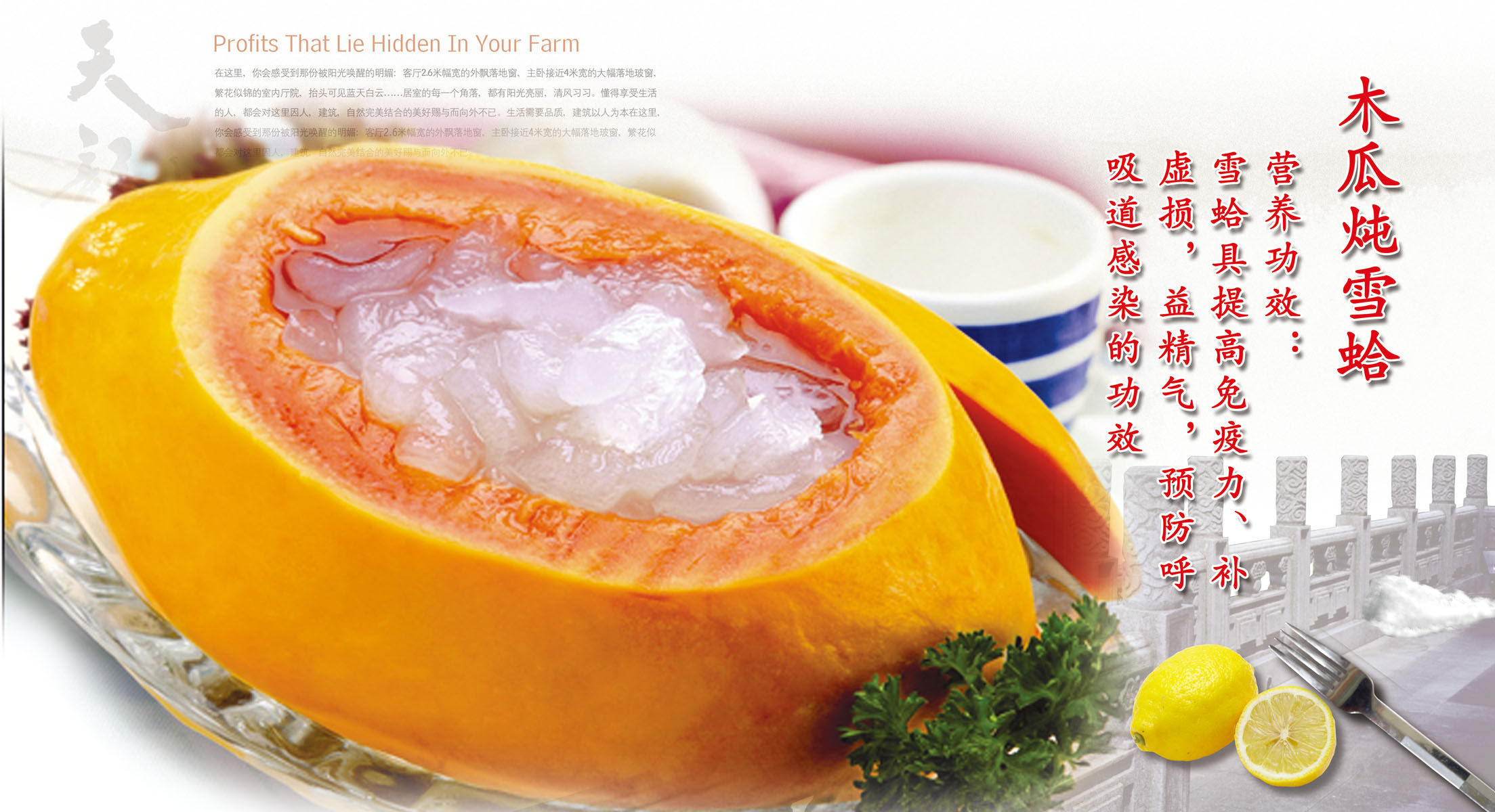 732居家海报展板喷绘贴纸图片285木瓜炖雪蛤宣传海报