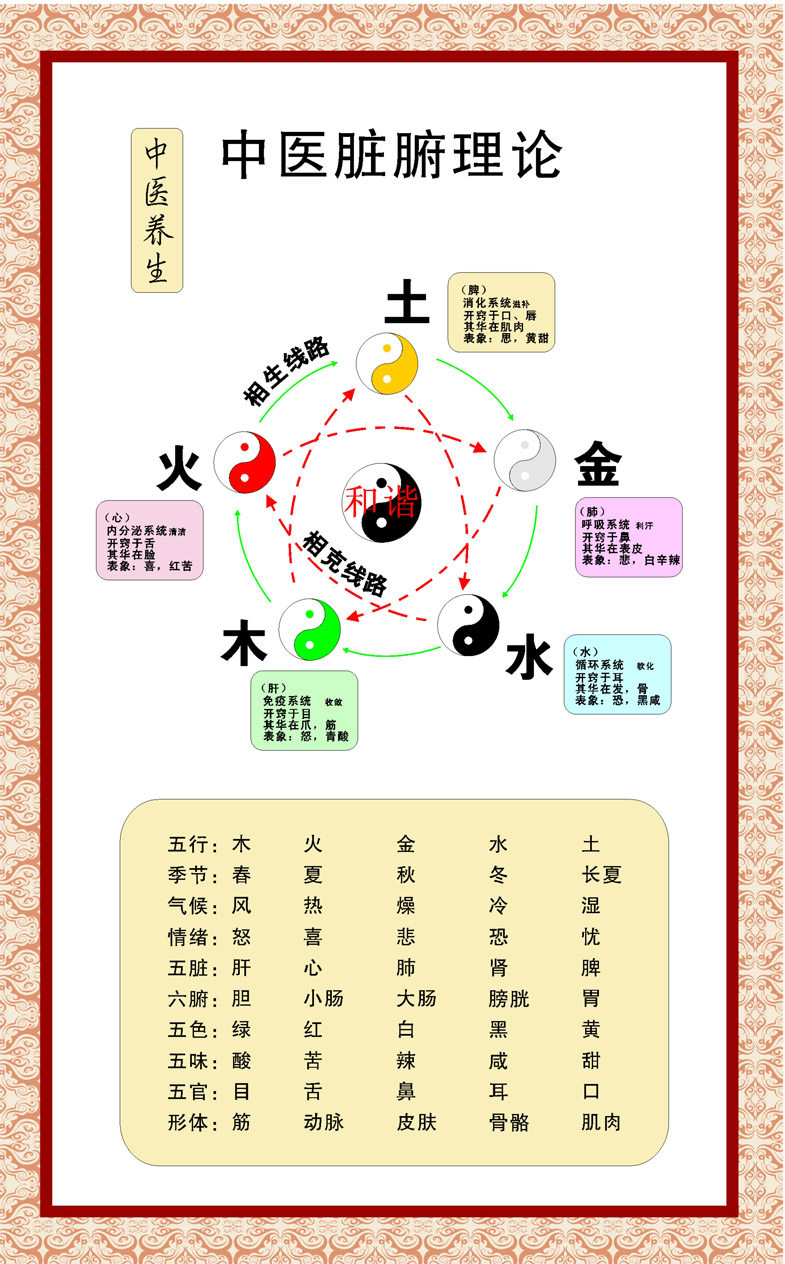 338居家海报展板喷绘贴纸图片39医院用挂图中医脏腑理论