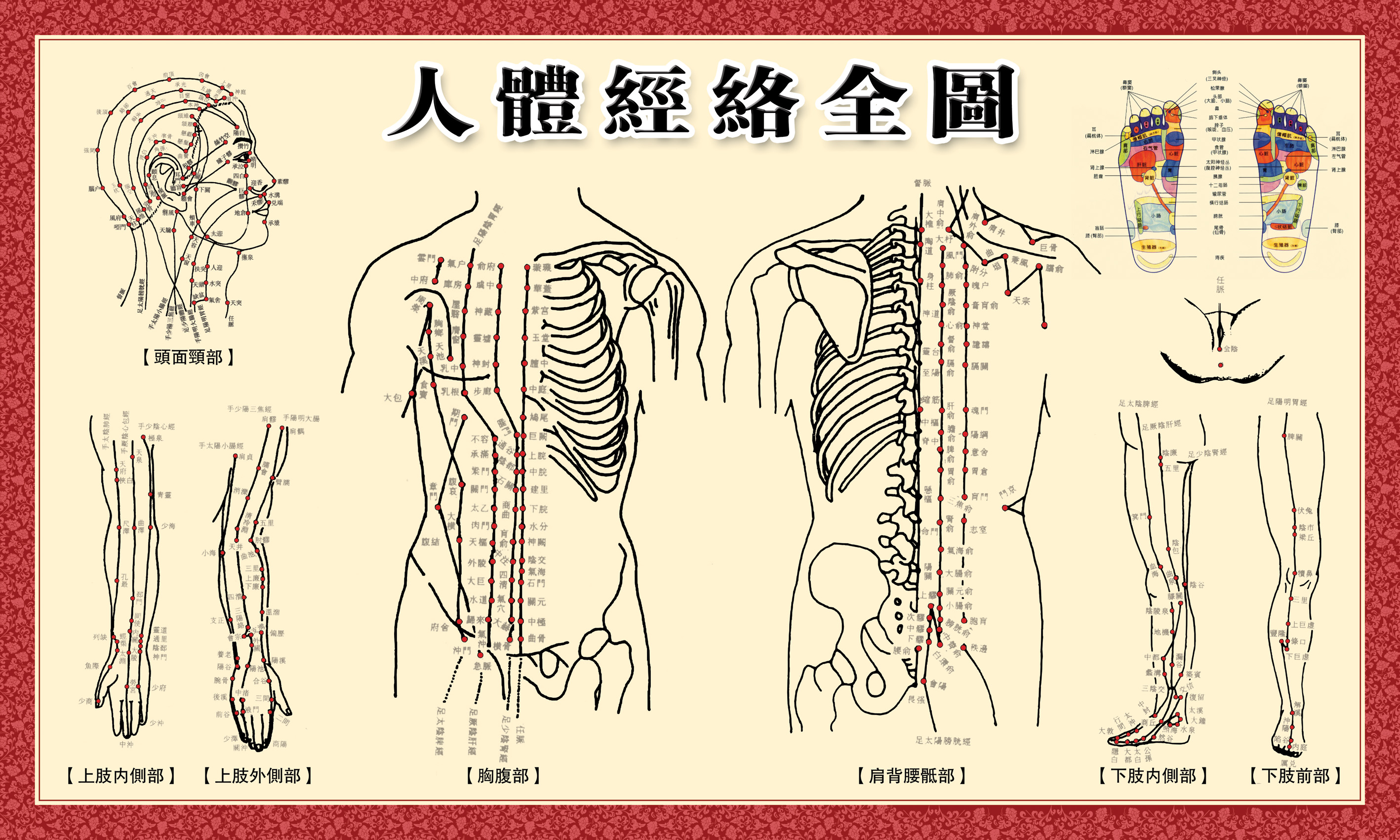 338居家海报展板喷绘贴纸图片159人体经络全图