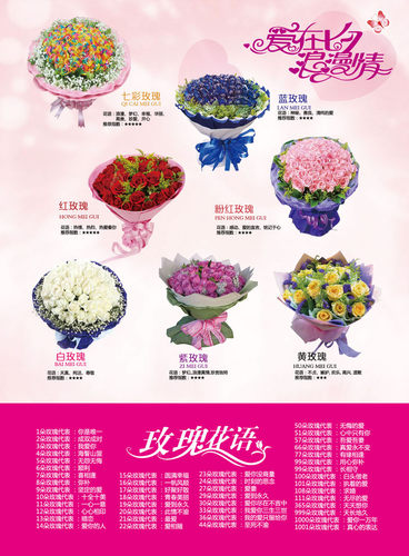 七夕花语价格 七夕花语图片 星期三