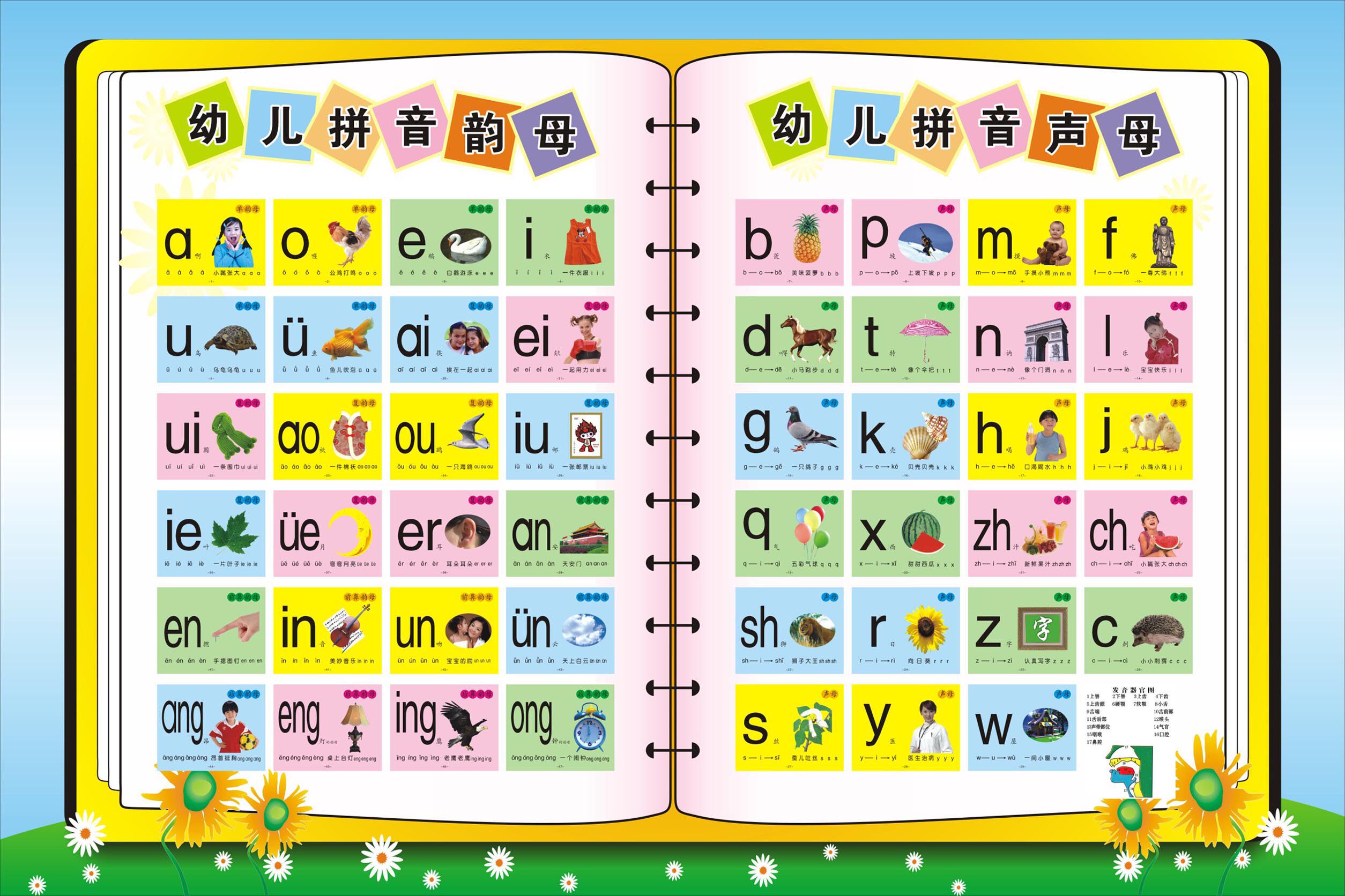 736画布海报展板喷绘素材贴纸497幼儿园儿童挂图5拼音韵母声母
