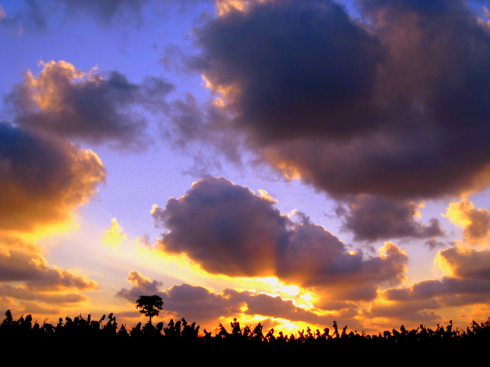525居家海报展板喷绘素材贴纸图片328日落风景