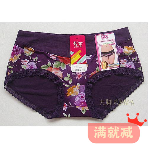 4條包郵特價彩田正品內褲女裝30259超細纖維印花除菌低腰平腳內褲