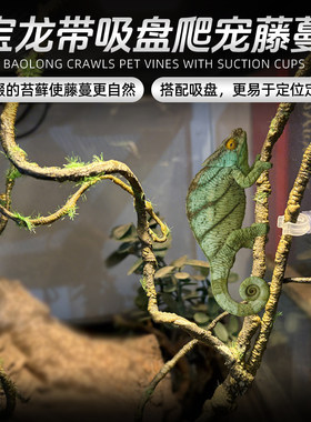 爬虫攀爬藤条蜥蜴变色龙蛇爬宠小异宠雨林造景仿真藤蔓枯枝枯藤