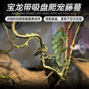 爬虫攀爬藤条蜥蜴变色龙蛇爬宠小异宠雨林造景仿真藤蔓枯枝枯藤