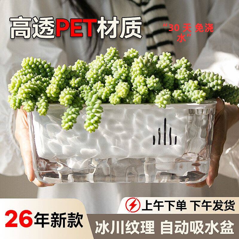 懒人免浇水自吸水阳台种菜盆种葱香菜神器家庭窗台长方形花盆跨境