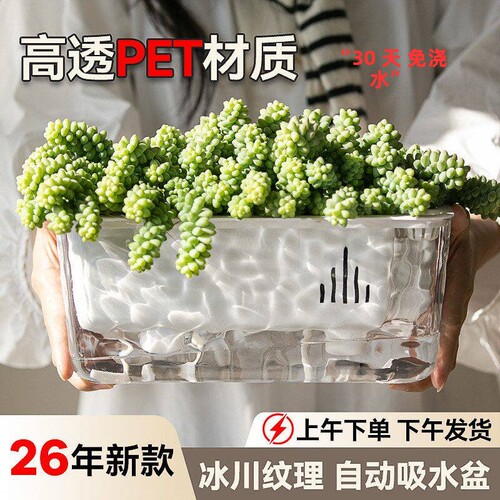 高透自吸水懒人阳台长方种菜盆