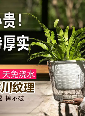 新品自吸水免浇水塑料树脂花盆