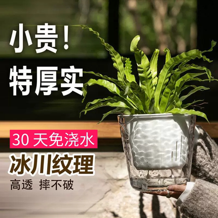 新品自吸水花盆懒人免浇水塑料树脂花盆水培盆阳台室内绿萝兰花盆
