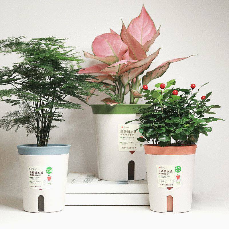 懒人自动吸水花盆圆形桌面绿萝兰花植物花卉盆栽塑料蓄水盆跨境