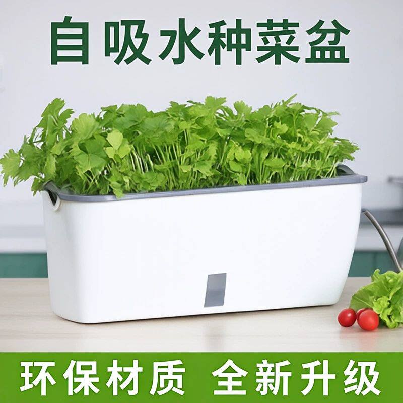 自吸水懒人种菜盆大号植物花盆