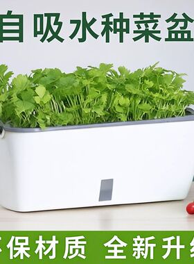 阳台种菜盆家庭蔬菜种植盆专用箱