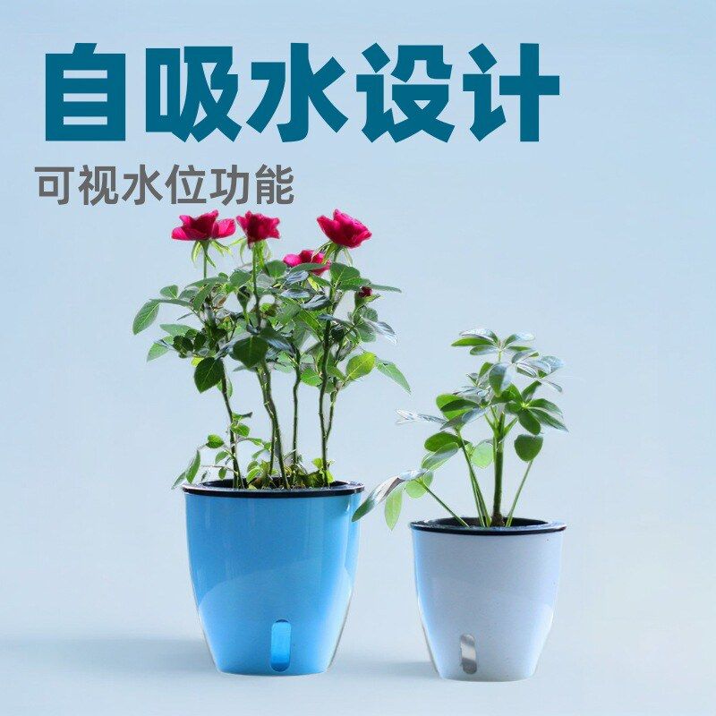 懒人自吸花盆 水恐龙蛋造型可视水位树脂水培塑料盆 绿萝红掌兰花