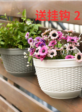 简约壁挂半圆树脂花盆绿萝兰花