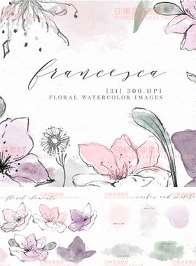 PS-244平面设计素材高清淡雅水彩花朵纹理背景装饰印花图png