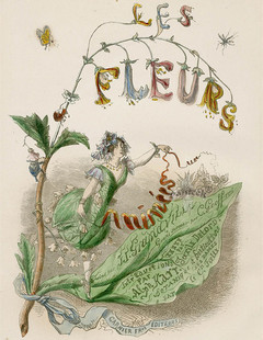 19世纪超现实主义风格 J.J. Grandville花样女人复古花朵插画 54P