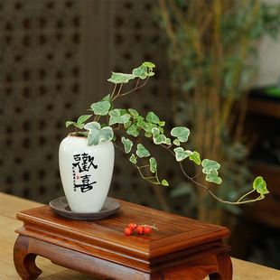 常春藤雪莹盆栽常青藤中式办公室茶桌桌面好养活耐阴绿植爬藤植物