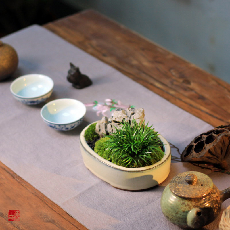 伴石金钱菖蒲随手香菖蒲草紫砂苔藓假山石盆景茶桌办公桌面小盆栽
