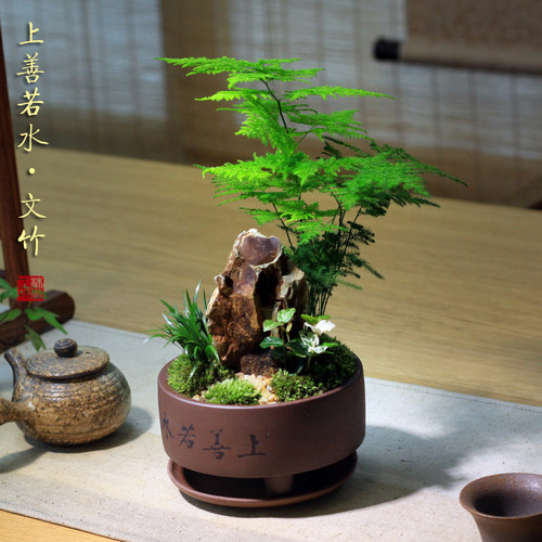 上善如水文竹叶子山水茶桌六月雪