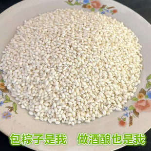 如皋陈奶奶乡下糯米新鲜粗加工包粽子做酒酿的江米白圆粒元米黏米