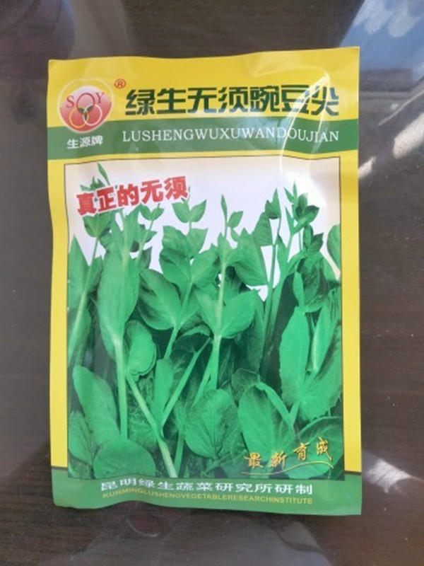 云南蔬菜种子豌豆尖种子绿生生源