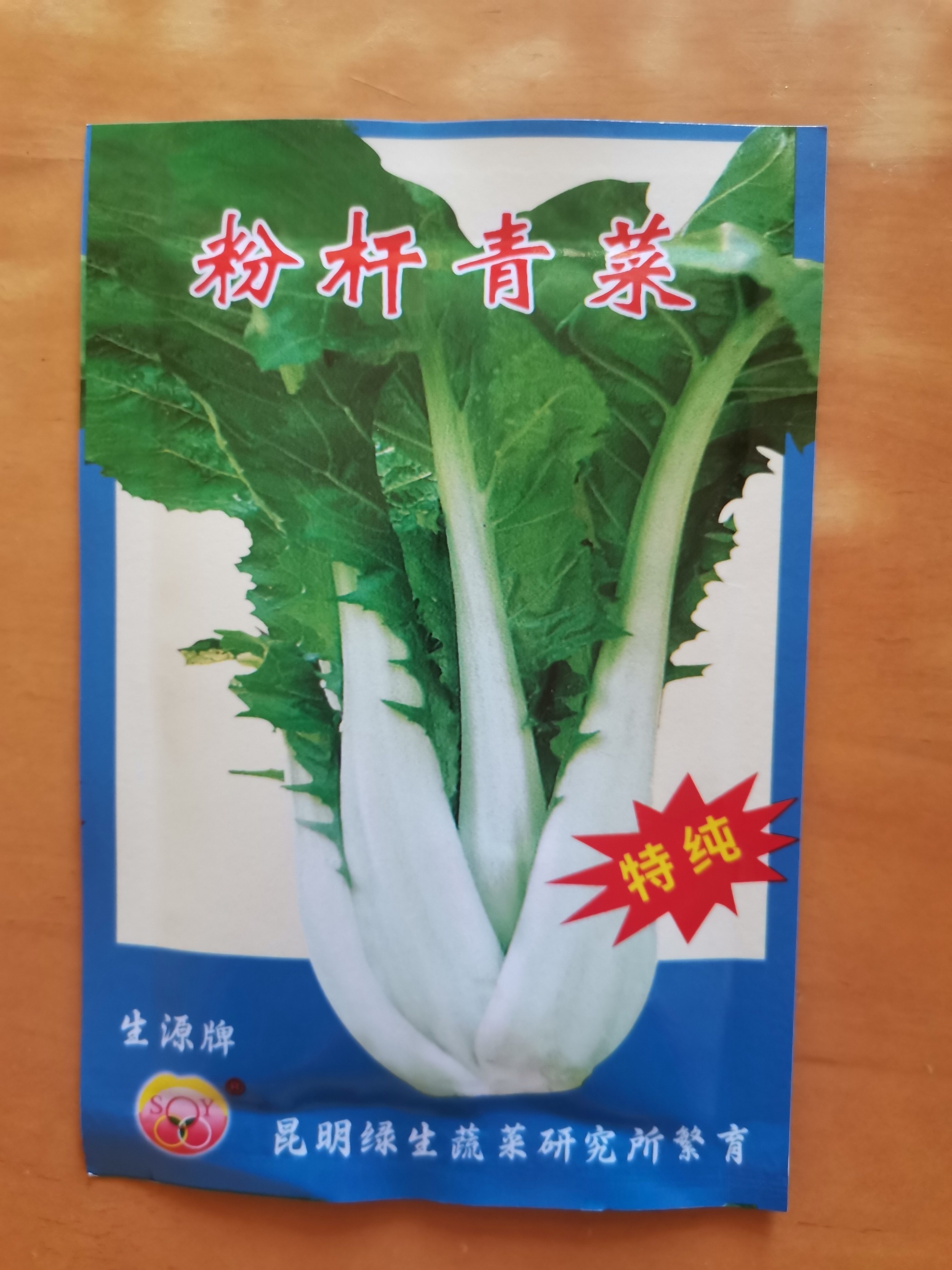 青菜菜籽蔬菜种子生源苦菜腌菜